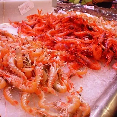 Caraibes بيت للعطل *